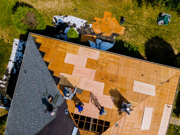 Quick and Trustworthy Emergency Roof Repair Services in Mcfarland, CA